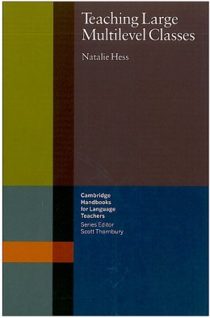 Teaching Large Multilevel Classes