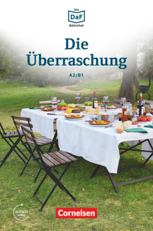 Die Überraschung · Geschichten aus dem Alltag der Familie Schall