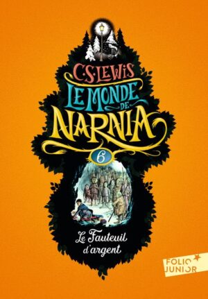 Le Fauteuil d'argent