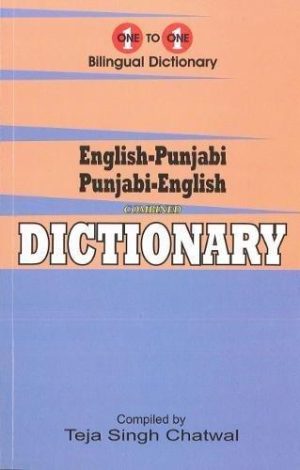 One to one Bilingual Dictionary: English-Punjabi, Punjabi-English